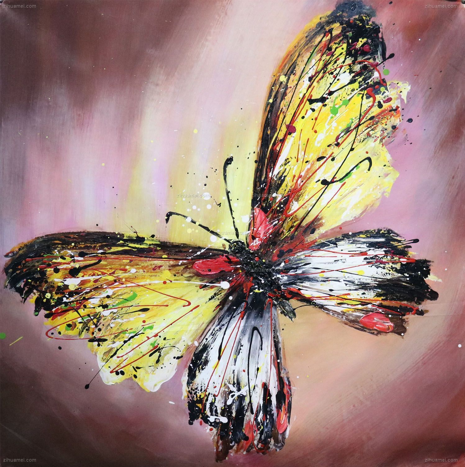 印象油画cx6731 蝴蝶 线条框